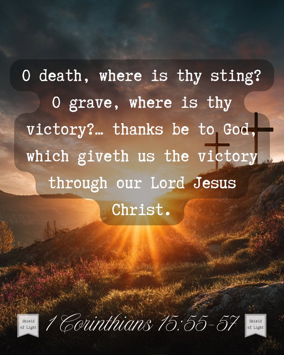 The Shield of Light tweet media