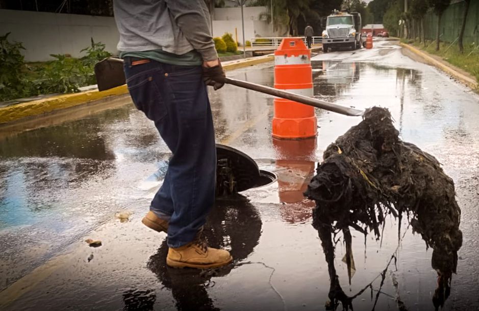 MÁS NOTICIAS tweet media