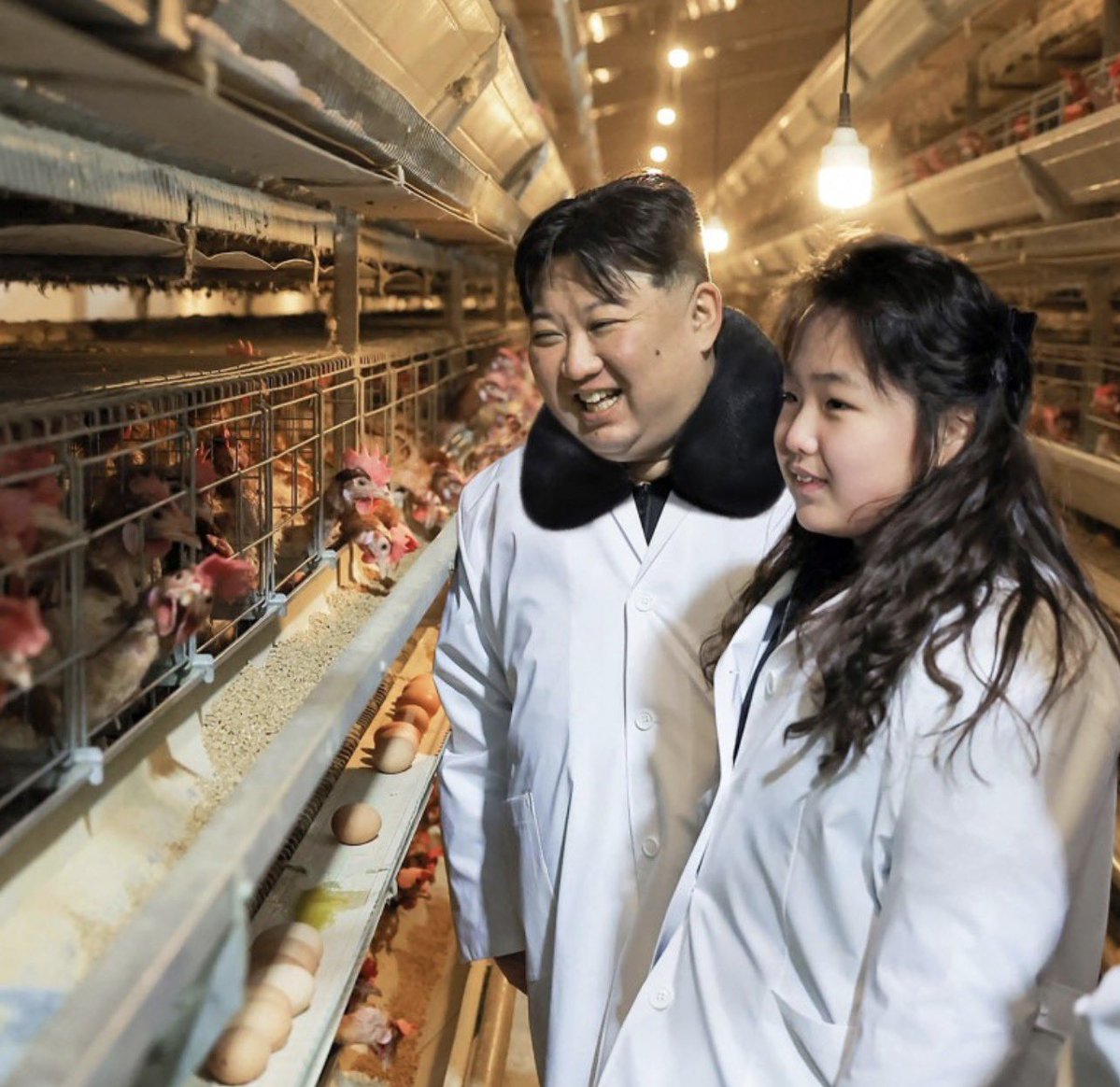 作家崔成浩 tweet media