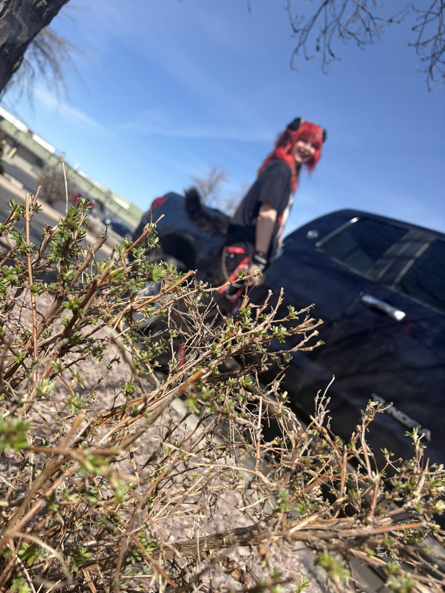 dog eat dog world .. tweet media