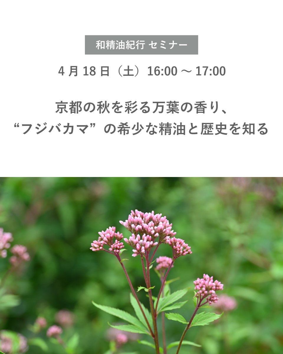 日本アロマ環境協会(AEAJ) tweet media