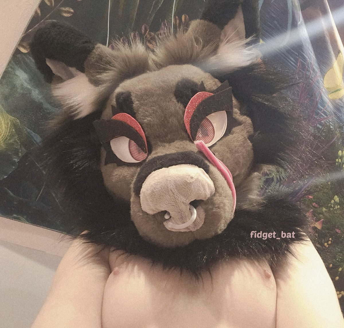 Fidget The Bat🦇 tweet media