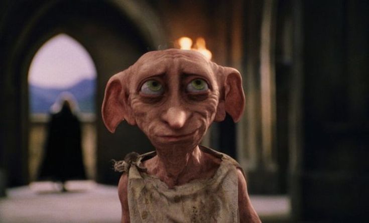 acervo dobby tweet media