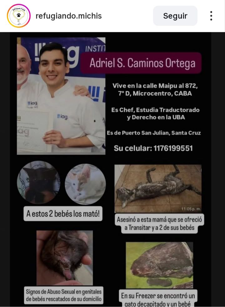 demario_silvia's tweet photo. ESTA BASURA SIGUE PIDIENDO ANIMALES PARA TORTURARLOS!!! #leyconnan #maltratoanimal @jorgemacri #CABA @JMilei #UBA @KarinaMileiOk @PatoBullrich https://t.co/BZSBTzO3ah