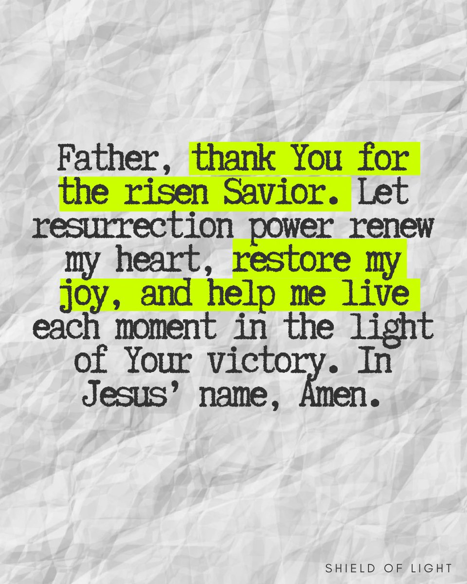 The Shield of Light tweet media