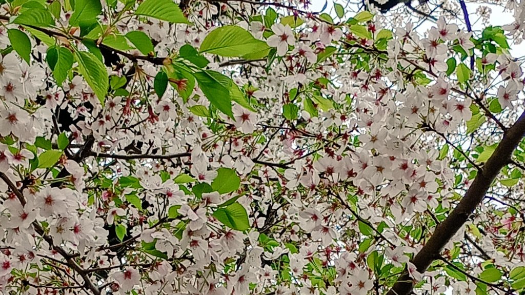 れいちゃん tweet media