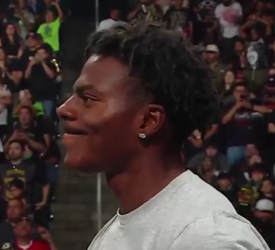 🐻‍❄️ tweet media