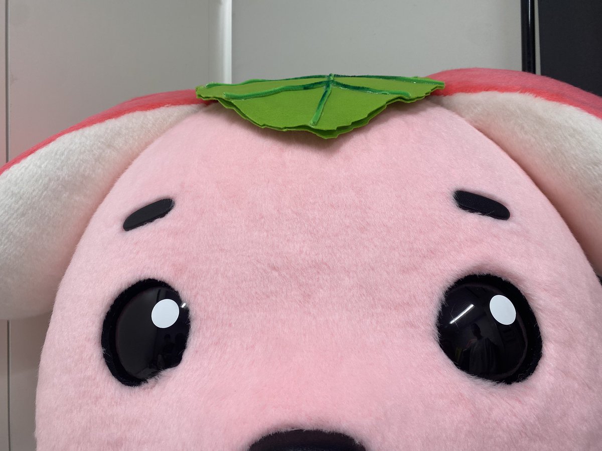 テゲバジャーロ宮崎 tweet media