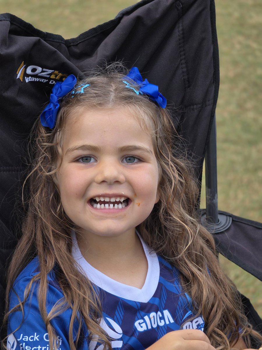 Daniel Scuteri tweet media