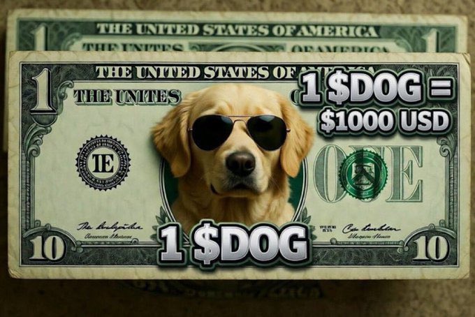 <a href="/cryptokillua99/">Killua</a> If you ready for a long term play get in <a href="/CryptoDogHD/">The Crypto Dog Meme Official</a>  coin building and stacking conviction on the $Dog team get in and buy before it is too late 

Ca 21CnrFRqvEVkQZUTFmTXjcsJTLZhRY51ohoaCPwRpump