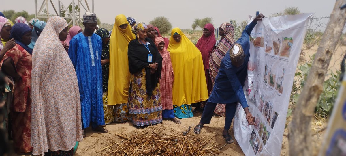 ong_adesa77234's tweet image. Les Femmes de Chétimari formées par ADESA (PRECAN/FHRAOC) aux pratiques agroécologiques : compost, alternance culturale, paillage, demi-lunes pour terres résilientes face au changement climatique.
#ADESA #PRECAN #AgroécologieSahel #RésilienceClimatique #Chétimari #FHRAOC