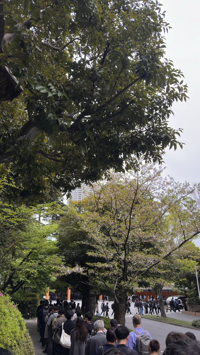 飛渡泰彦 tweet media