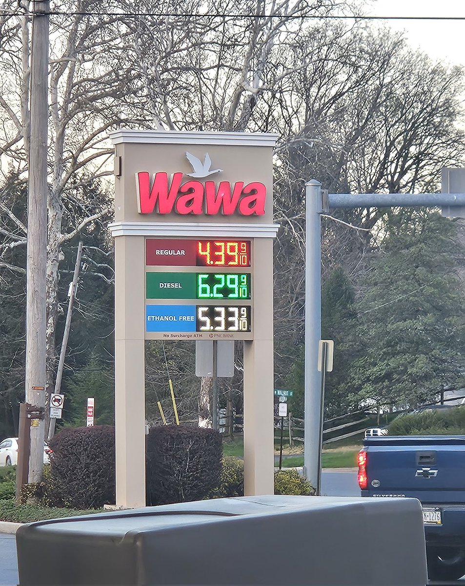 Elmo put a 🚩on me🐰🐰🐰☮️☮️☮️ tweet media