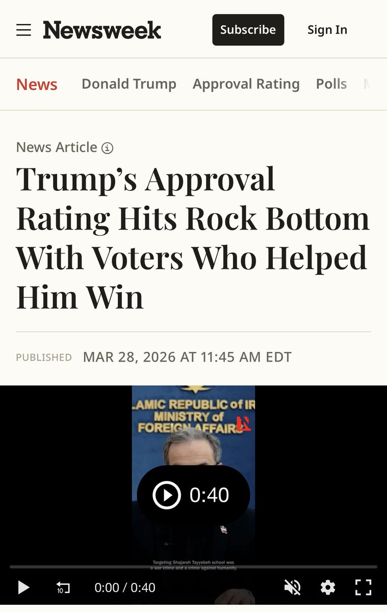 TPBlue 🇺🇸🦅 tweet media