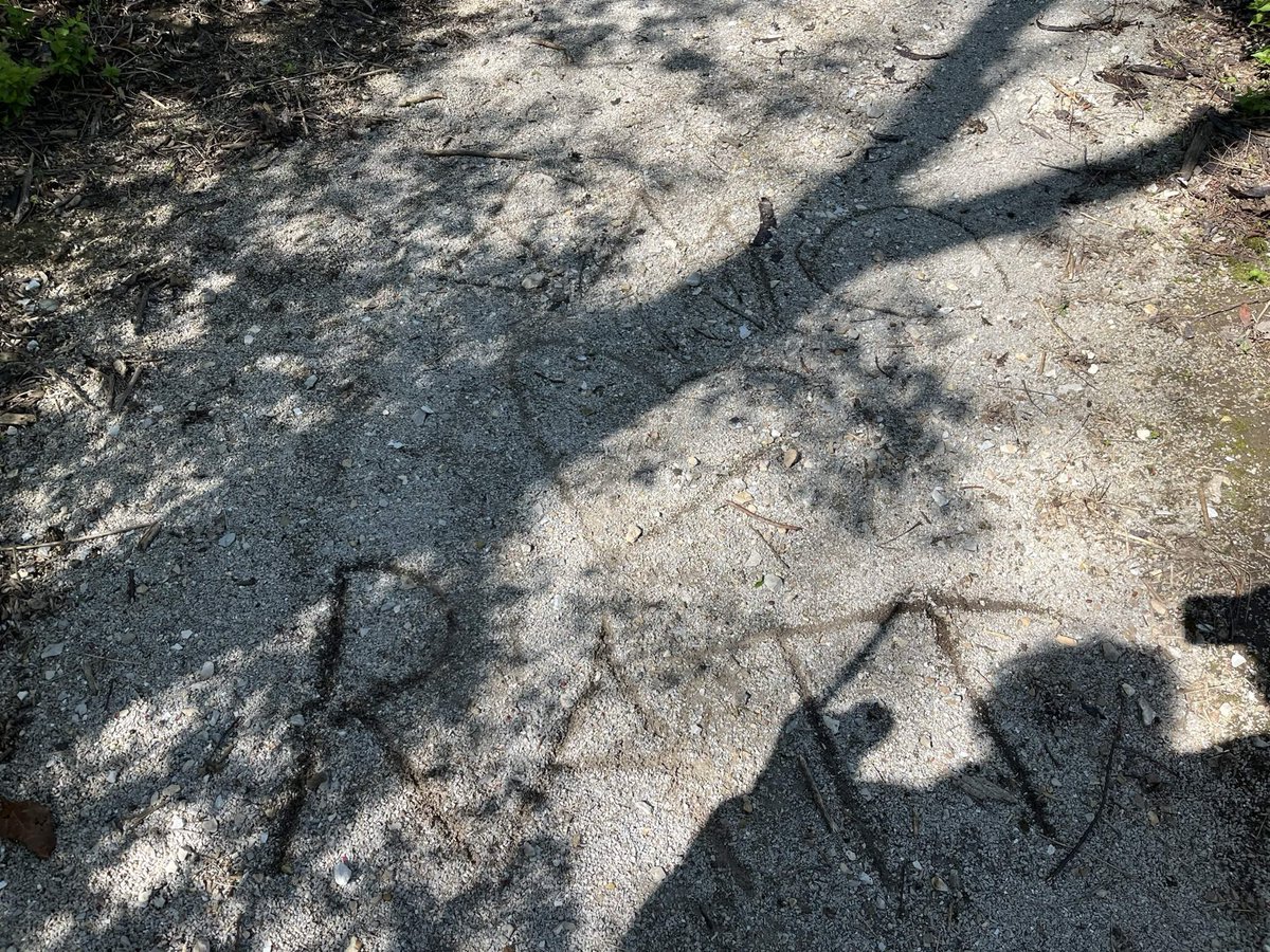 bmo nsfw tweet media