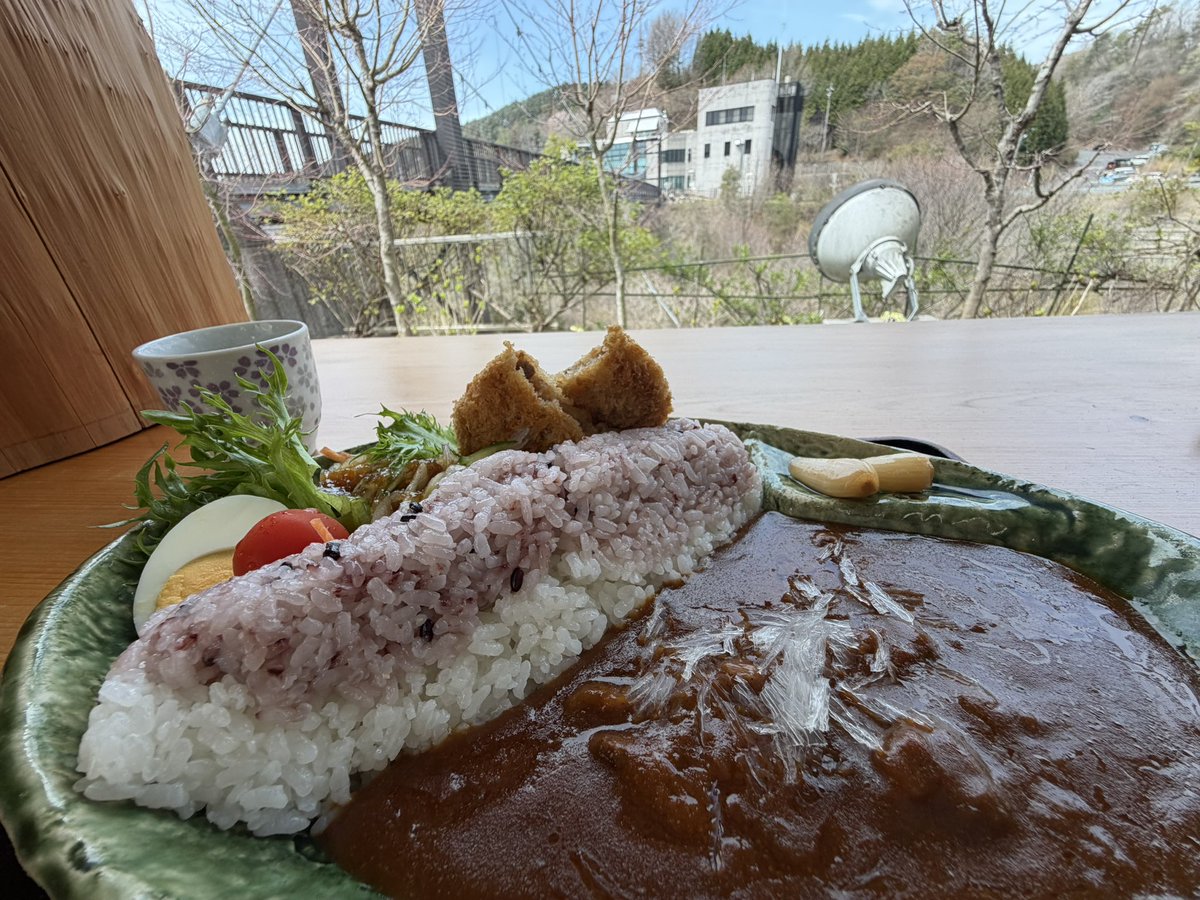 ちぇしゃ🐾cheshire cat tweet media