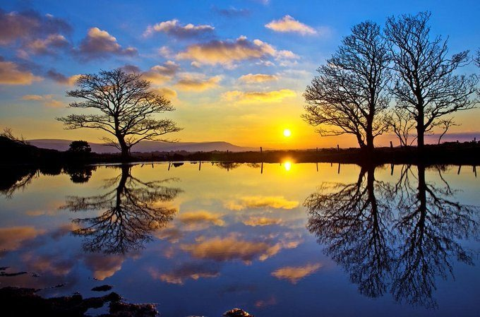 @_Selakantus tweet media