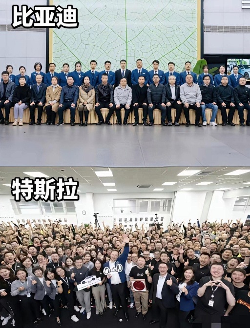 迷人的小红 tweet media