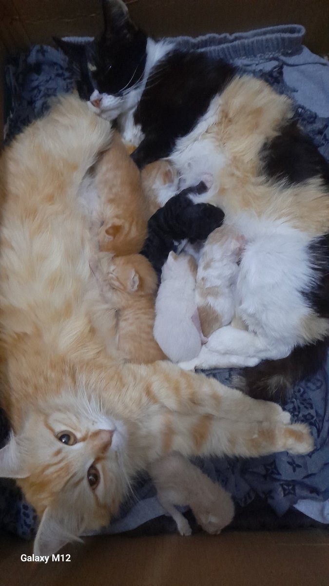 <a href="/cosyposter/">Cozy</a> <a href="/27SpartanLegend/">Johnny</a>