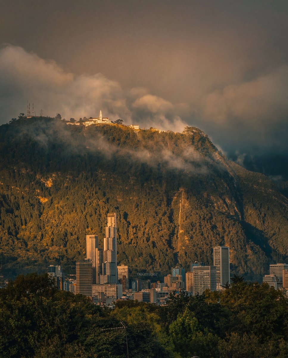 DieGonzalez tweet media