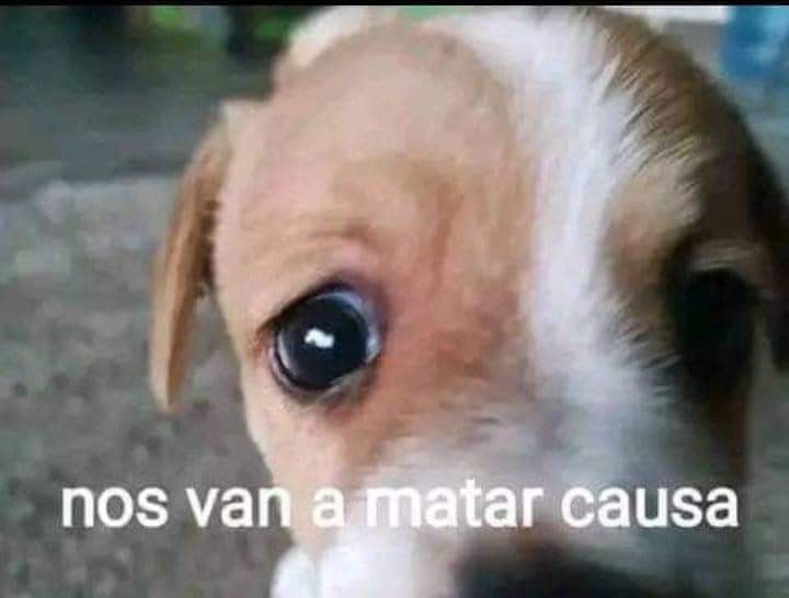 Axis Daezzy tweet media