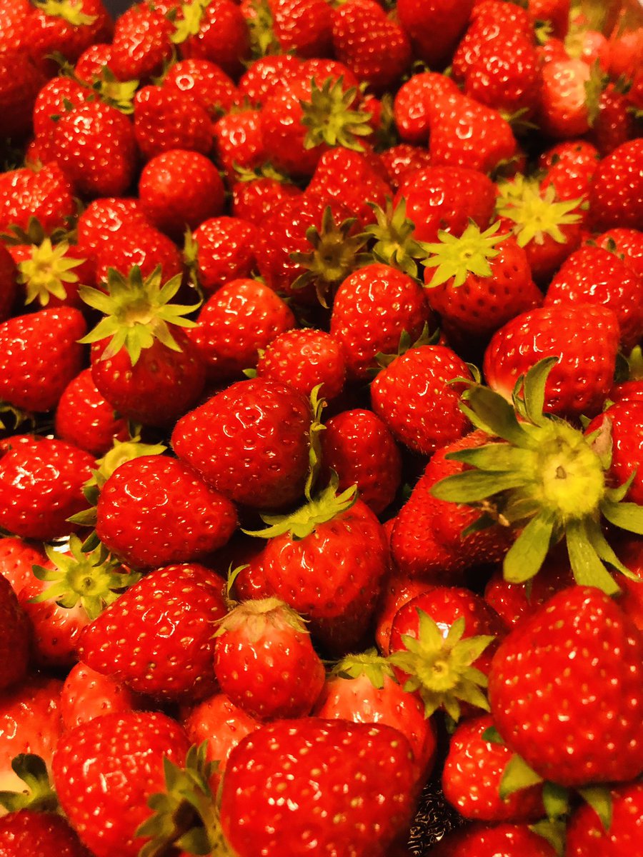 本日は普段と異なり12時オープンとなります。あいにくのお天気ですが、お立ち寄りください。

ご縁をいただき長柄町Mama’s Berryさんの完熟のイチゴを使わせていただいております。昨年夏のメロンからお世話になっております。現在、ドリンク、かき氷で提供中です❗️赤七屋