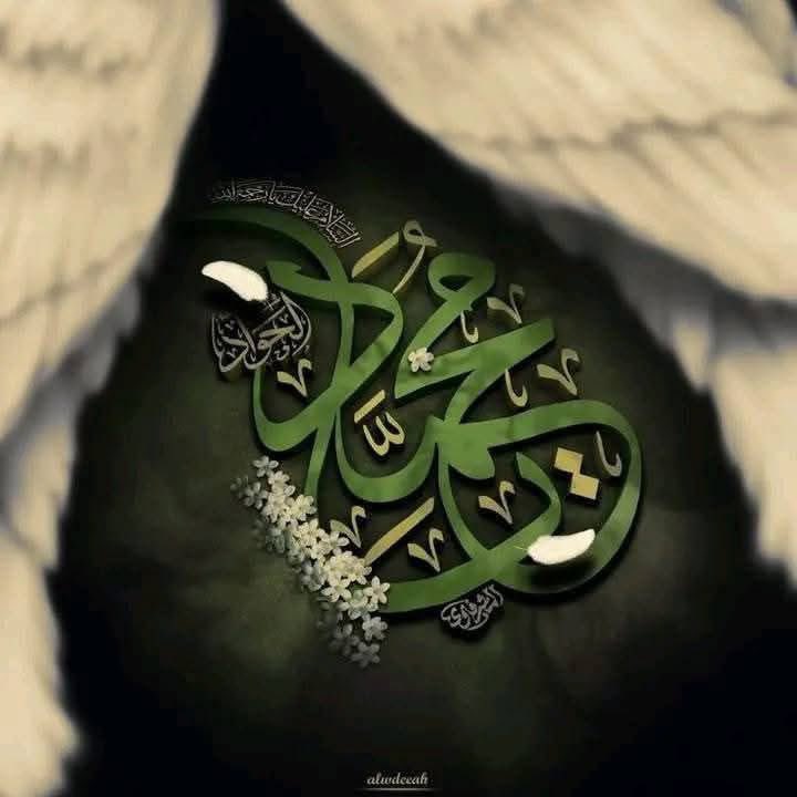 Mobeena Khan tweet media