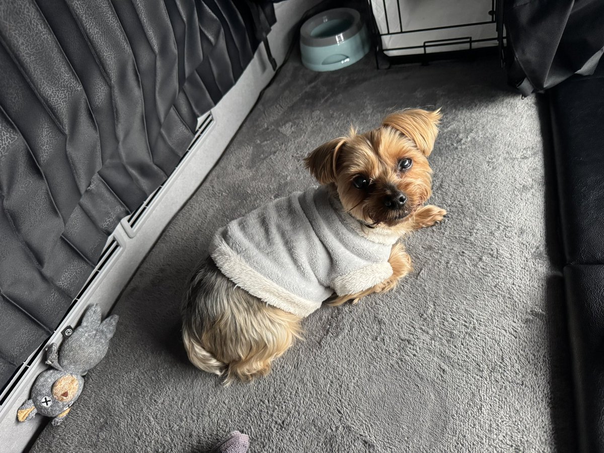 ひろまる tweet media