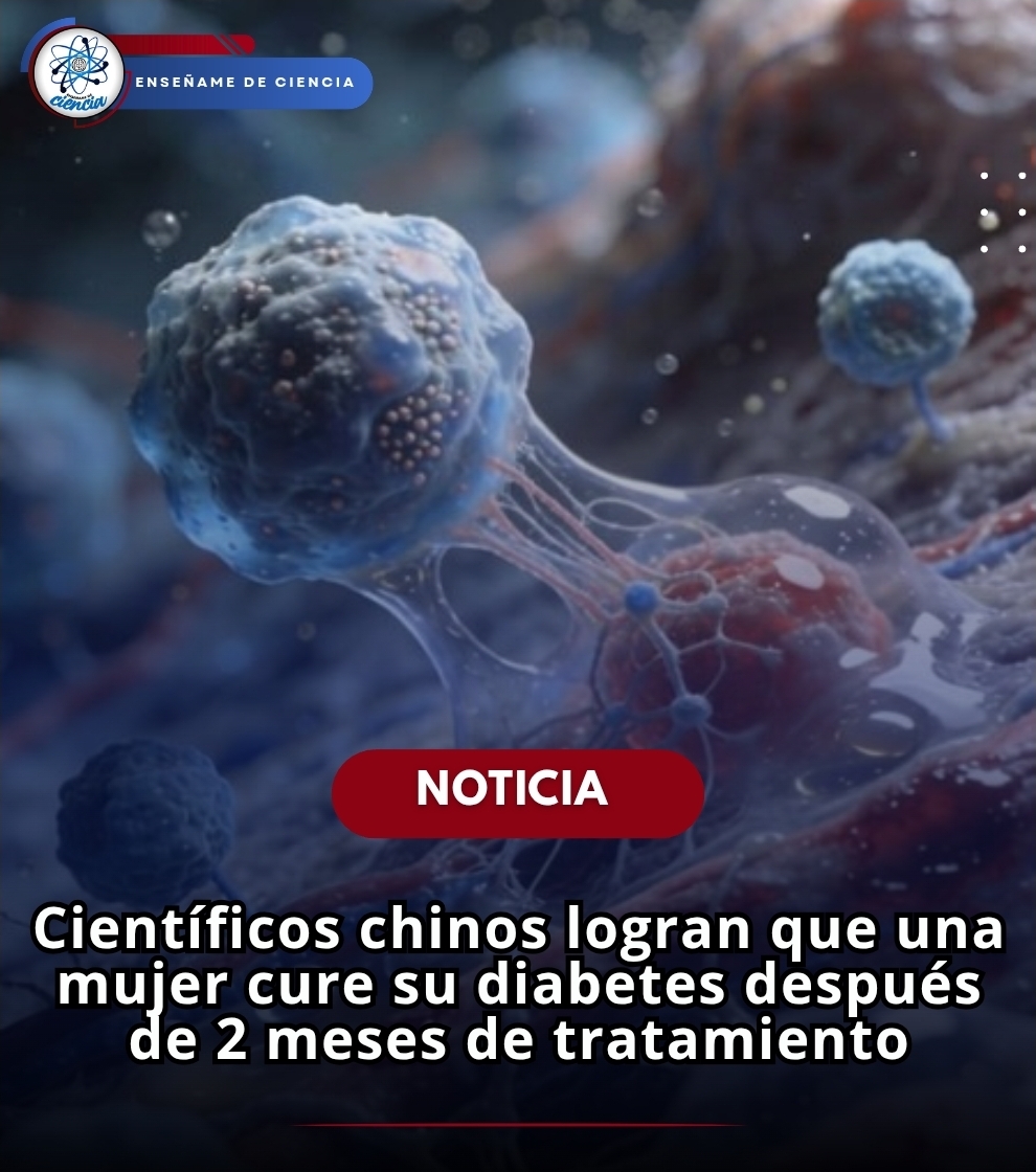 Enséñame de Ciencia tweet media