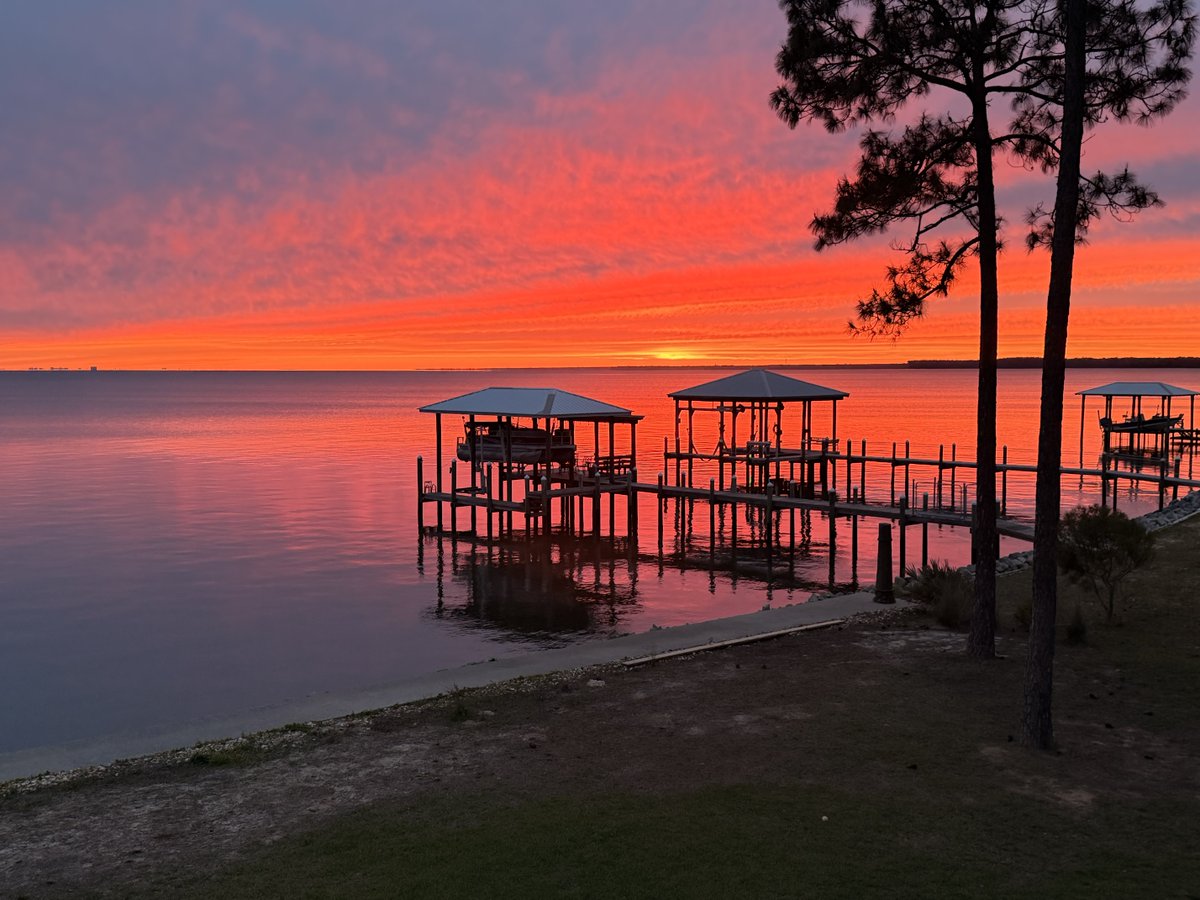 MillerTime tweet media