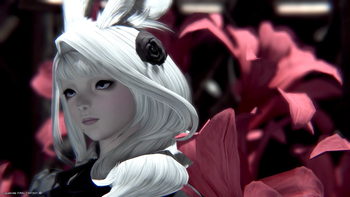 NUUN NUME tweet media