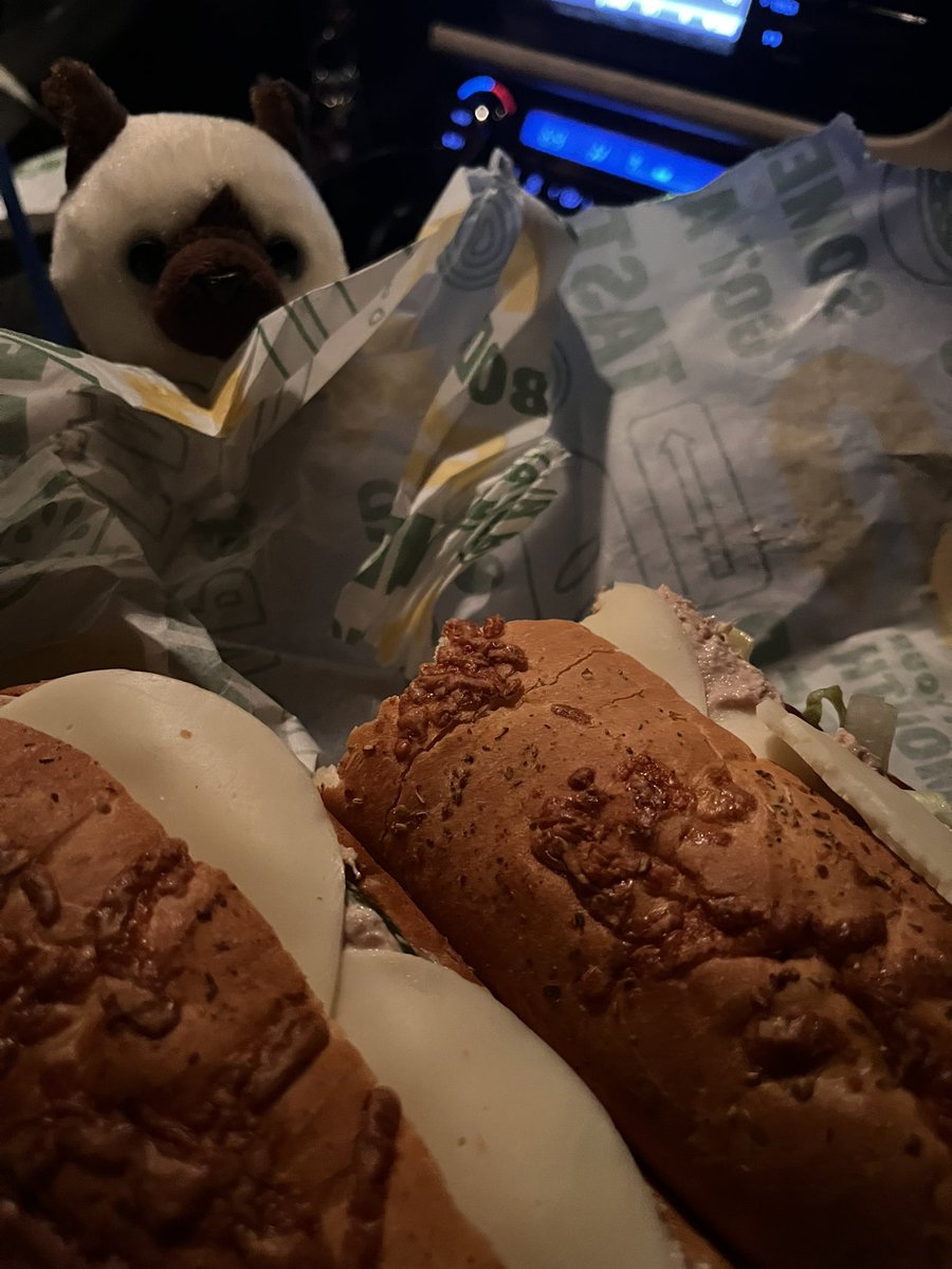 flea’s circus 🎡 tweet media