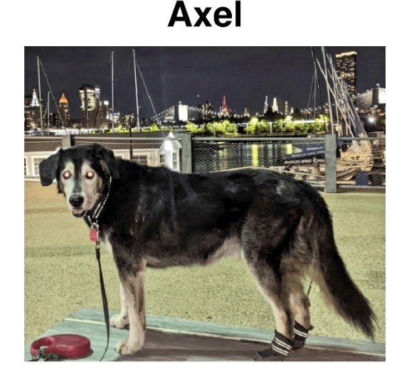 🌻Samson Cat🐱 tweet media