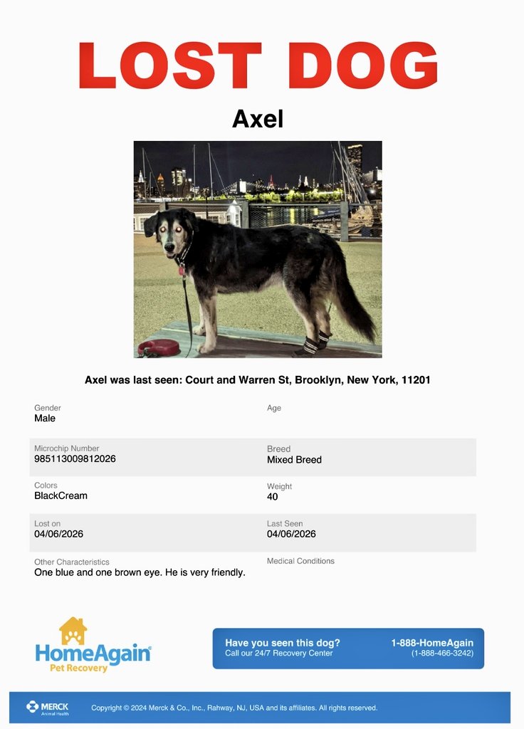 🌻Samson Cat🐱 tweet media