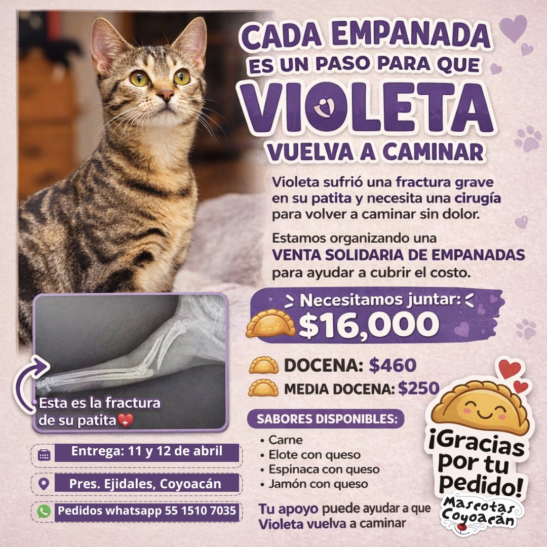 Mascotas Coyoacán 🐾 tweet media