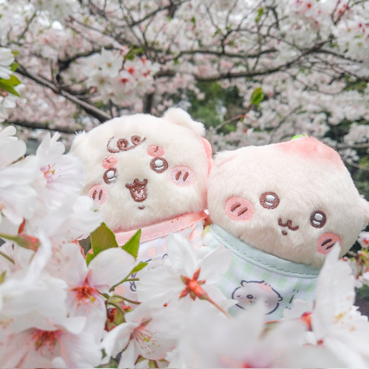 あきら tweet media