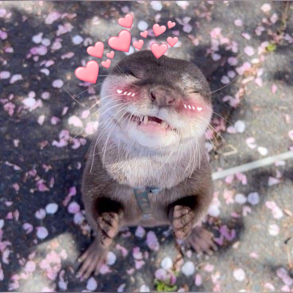 Charlie Cox as Otters tweet media