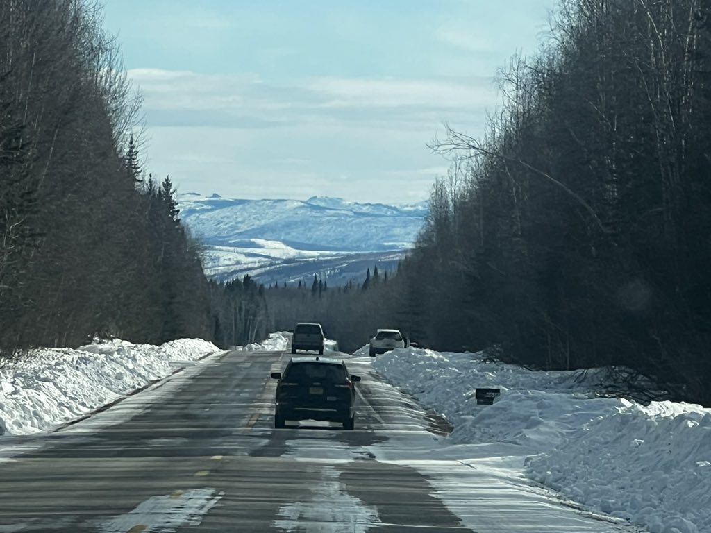 Alaska Partisan tweet media