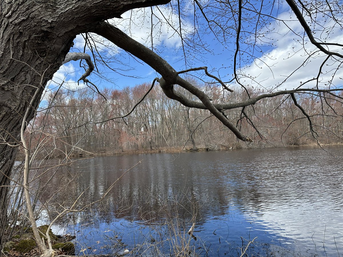 Mary Elaine Leach tweet media