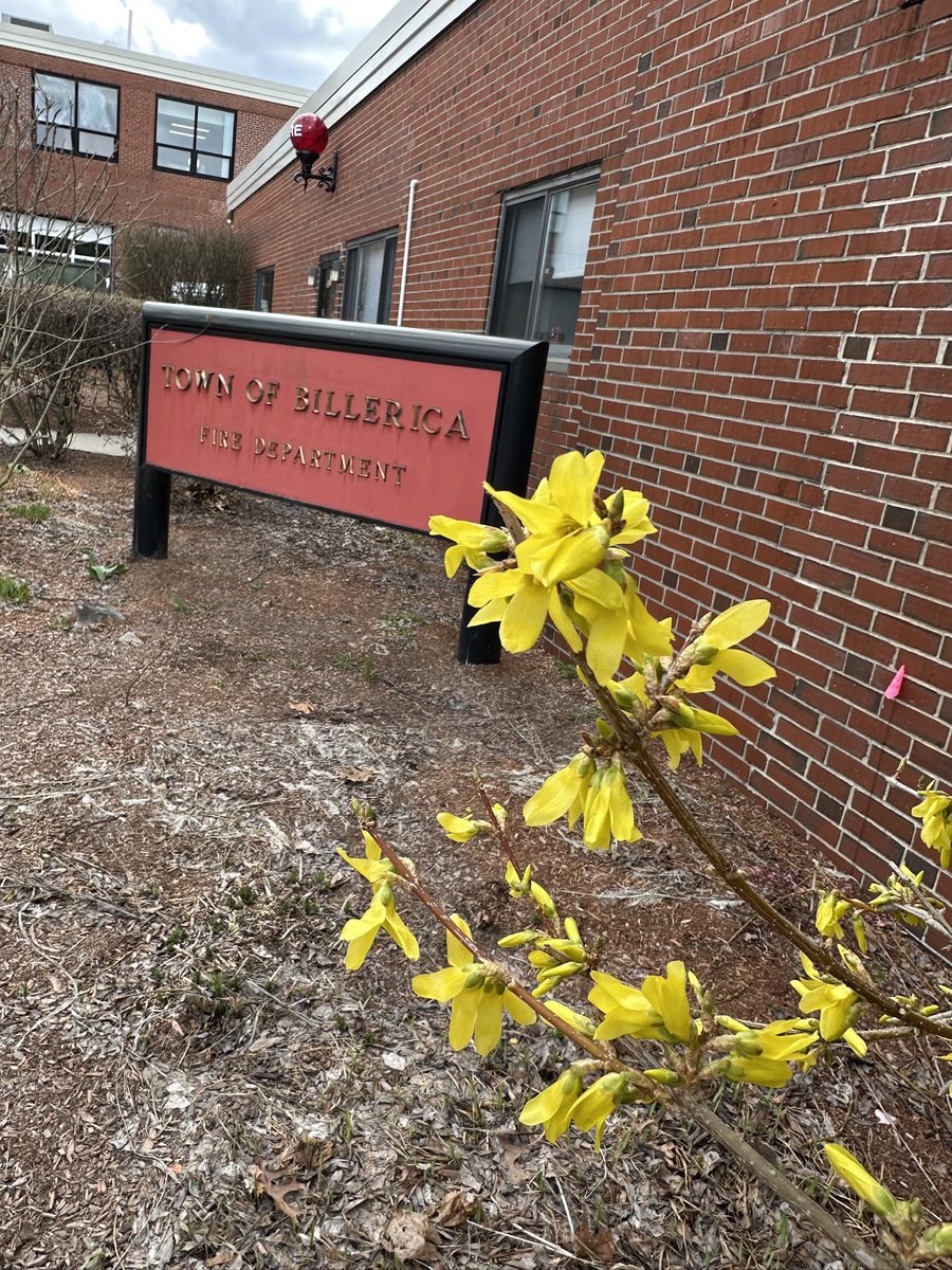 Mary Elaine Leach tweet media