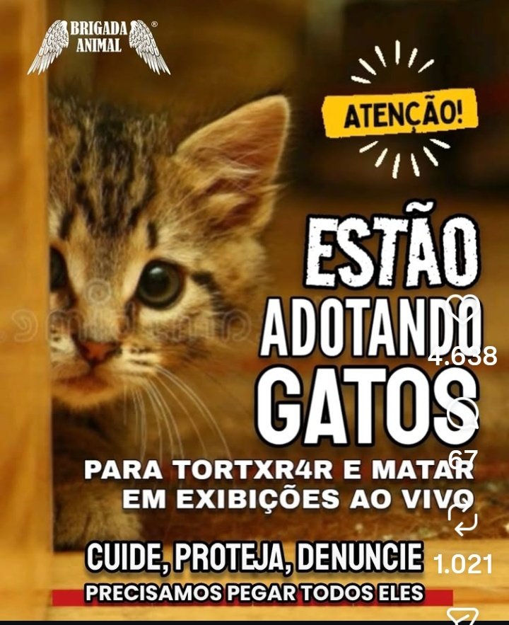 Lola 🧠🎯 tweet media