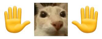 Sora 🦇🧛🏼 tweet media