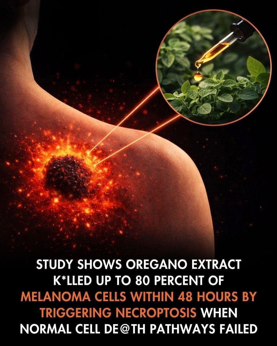 SciTech Girl tweet media