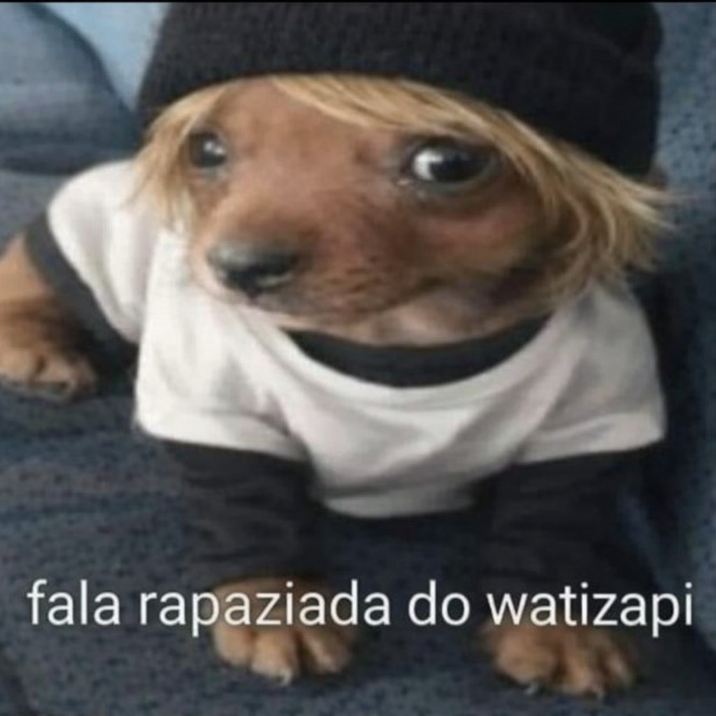 senhor_chuvisco tweet media