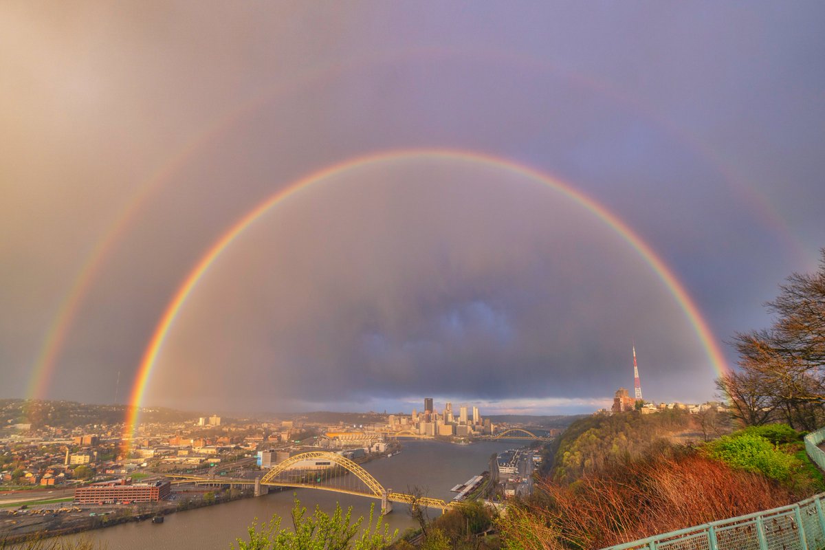 Dave DiCello tweet media