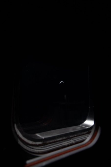 Astronomiaum tweet media