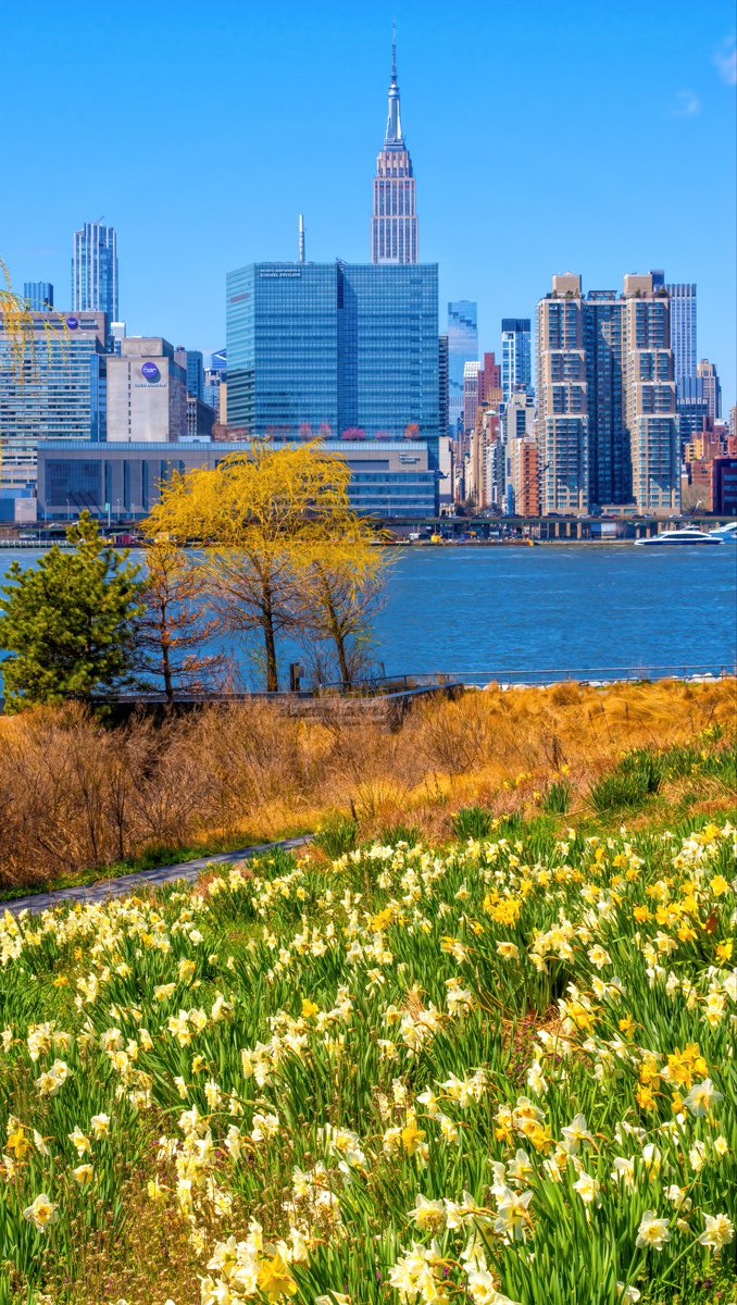 isardasorensen's tweet image. Beautiful springtime colors abound in #NYC now (pics: Central Park in bloom, city skyline framed in flowers). #NewYork #NewYorkCity