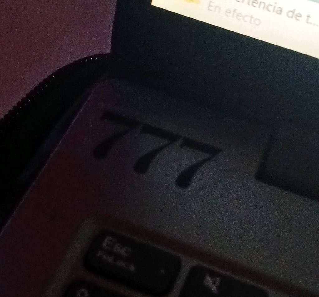 lucia siete 🌿 tweet media