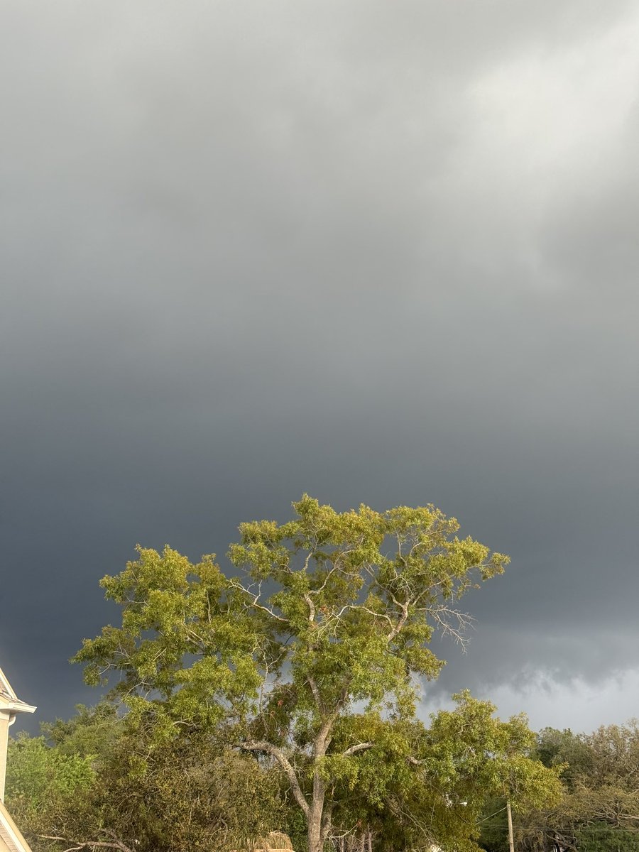 🇺🇸 Dave 🇺🇸 tweet media