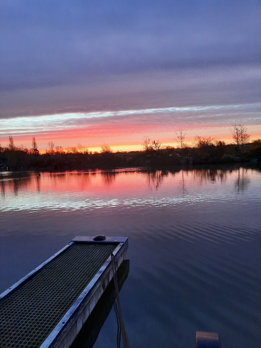 SwivelEyedLoon tweet media